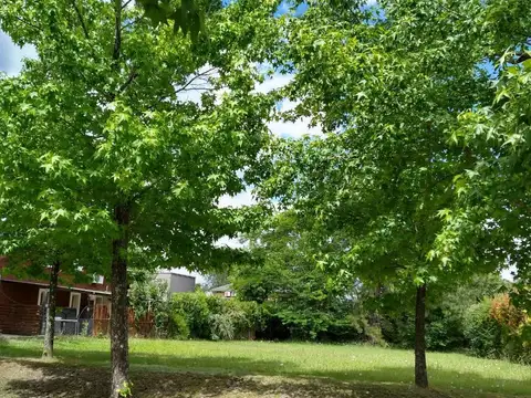 MAROTO PROPIEDADES - VENDE - LOTE - SEPTIEMBRE