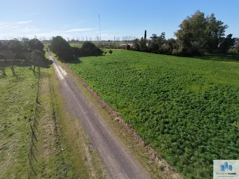 Lapacho, La Luisa, Capitán Sarmiento, Provincia de Buenos Aires,