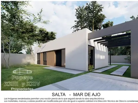 Salta  al 100