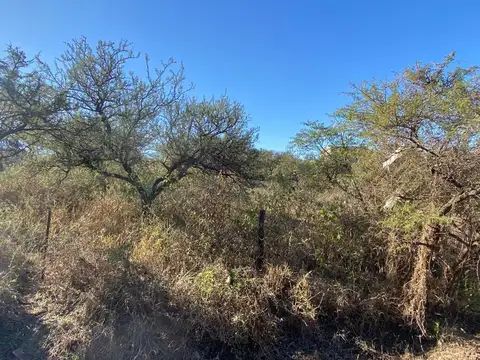 Terreno en Venta 34  mts Fondo