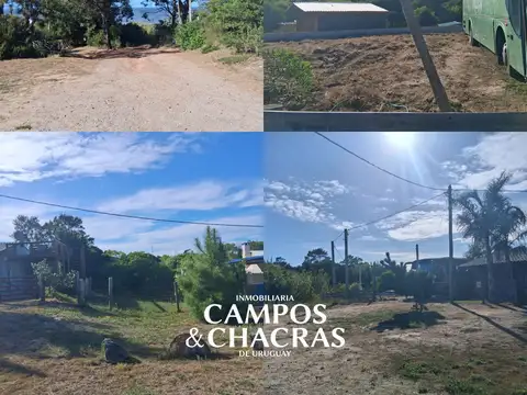 --