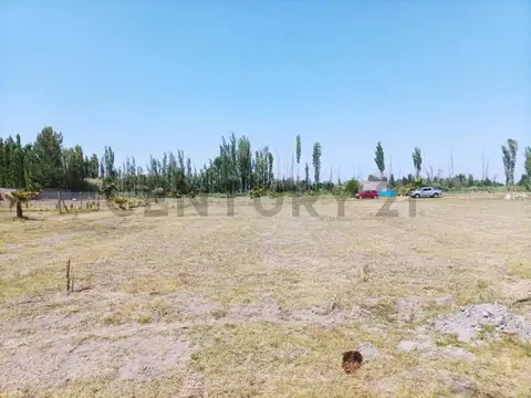Se vende lote en Maipú, Mendoza.