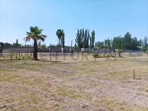 Nicolas Serpa 100, Piso 0