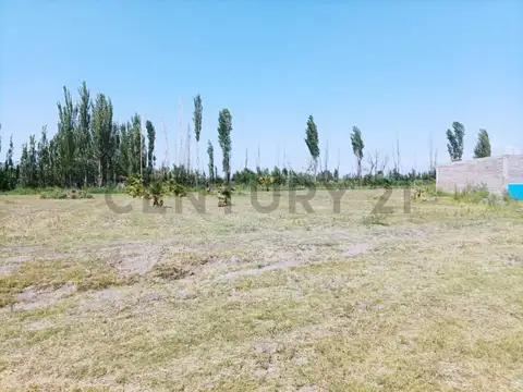 Terreno en Venta en Pedregal, USD 10.000