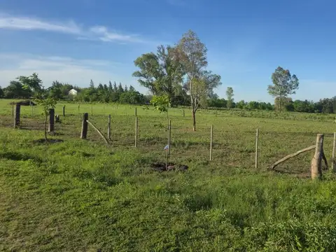 Terreno en Venta de 1500,0 m2