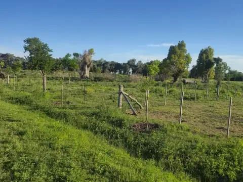 Terreno en Venta en Parada Robles, USD 39.500