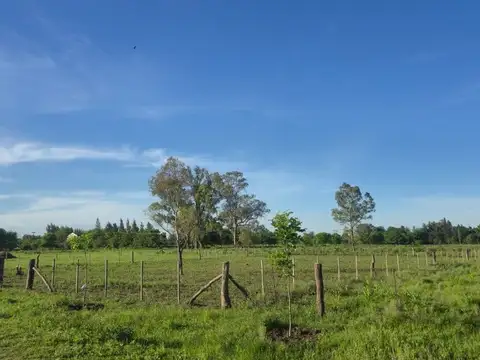 VENTA LOTE en PARADA ROBLES con FINANCIACION