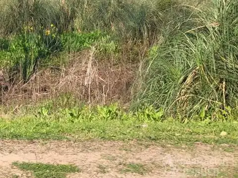 Terreno en Venta 255  mts Fondo