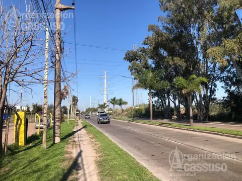 Calle Italia  -  Villanueva