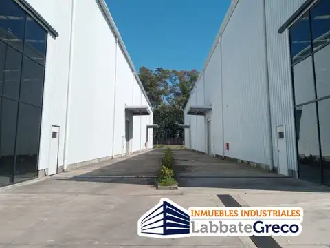 Puente del Inca 2000