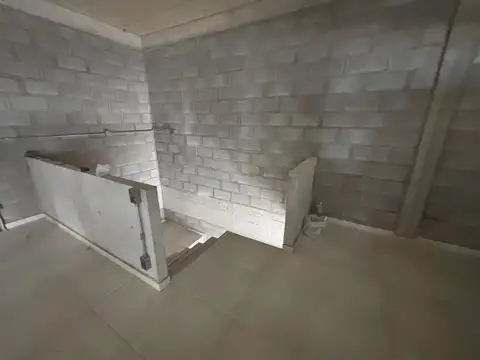 Puente del Inca Carlos Spegazzini, al 2000