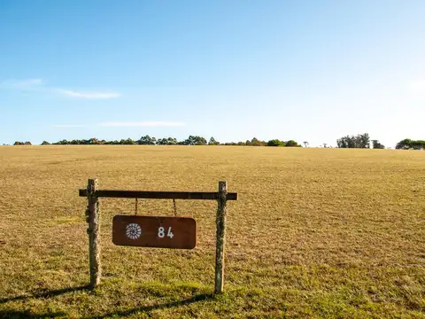 Terreno en Venta de 4100,0 m2