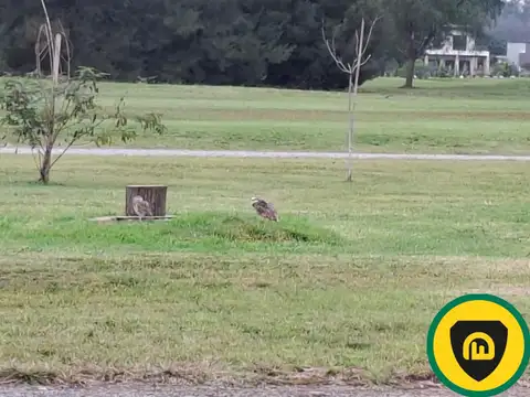 Terreno en  venta - Pilar  -Medal Country Club