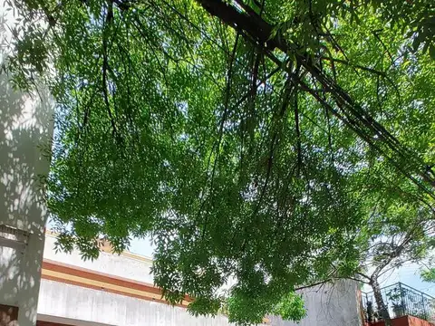 Casa en Boedo