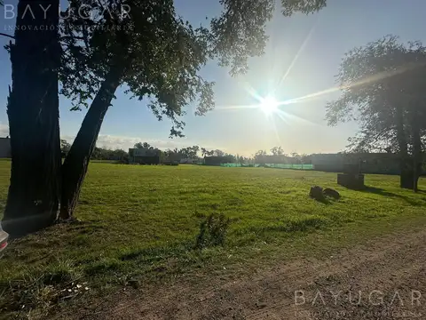 Venta - Lote Central - Casuarinas Del Pilar - Pilar