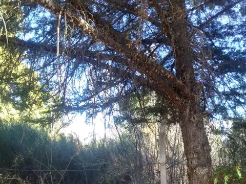 Terreno en Venta en Potrerillos, USD 30.000