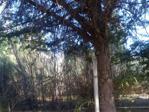 AVENIDA LOS CONDORES, EL SALTO