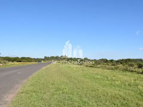 Terreno de 12354 m² en venta, San José de Feliciano