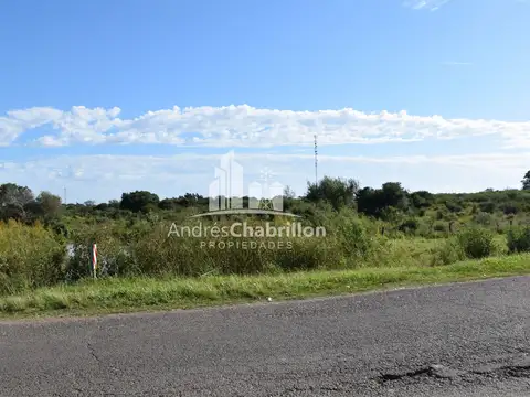 Terreno en Venta 175  mts Fondo