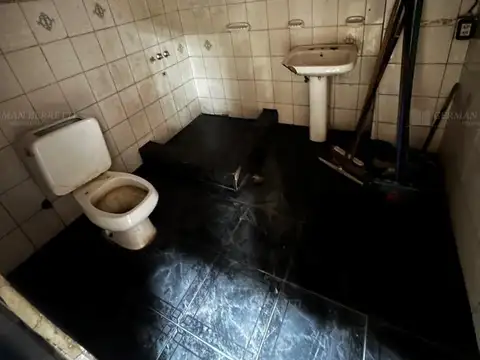 Bueras 100