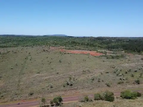 Ruta 216 Casi Ruta 12
