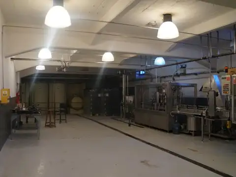 BODEGA DE VINOS EN VENTAON GALPONES INCLUIDOS