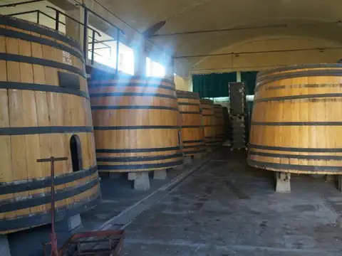 Fondo Comercio en Venta con 5 cocheras