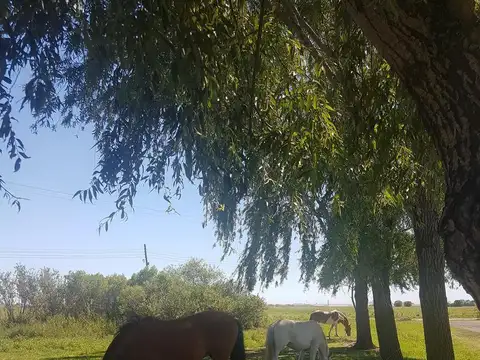 Terreno en Venta 50  mts Fondo