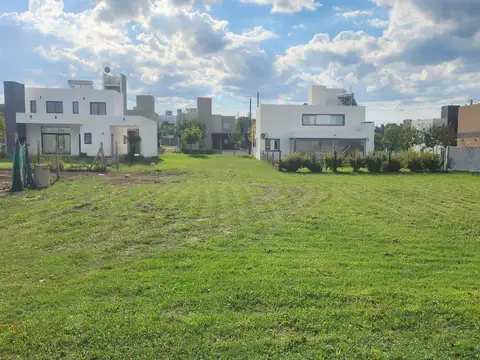 Terreno en Venta 29  mts Fondo
