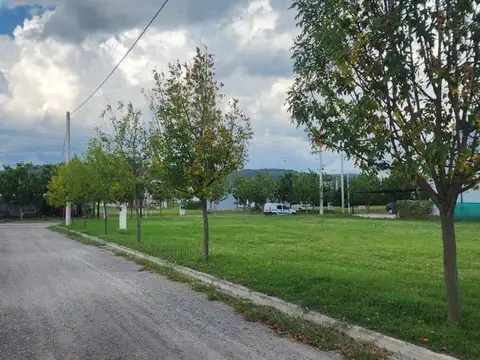 Terreno en Venta de 350,0 m2