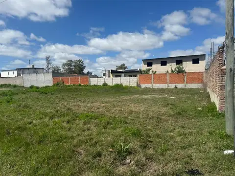 Terreno en Venta en Ricardo Rojas, USD 29.000