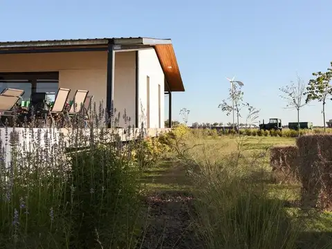 Chacra en Saladillo