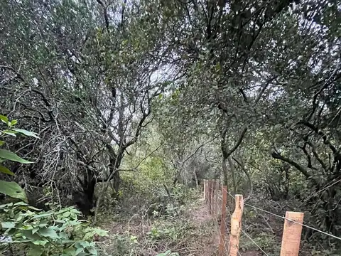 Excelente oportunidad! Se ofrece terreno con vista panoramica en Villa de las Rosas, Traslasierra