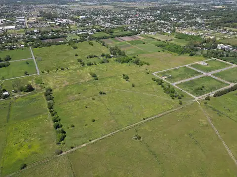 Fracción en VENTA | 8 hectáreas | 515  e/ 161 y 167 J. Gorina