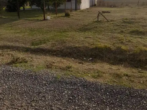 Pública