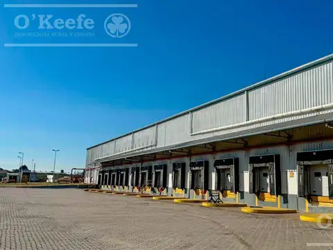 ALQUILER - Predio Logistico e Industrial en Garín - Escobar - 41.500m2 - 15.500m2 cubiertos