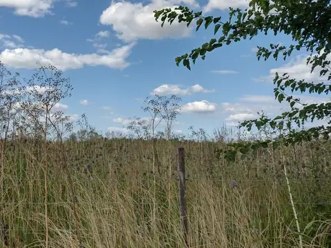 Fraccion 5 ha 1/2, en Parada Robles