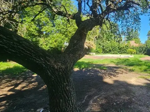 Terreno en Venta de 650,0 m2