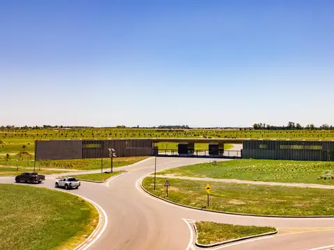 Terreno en Barrio Cerrado Vida Lagoon