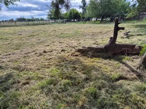 Terreno en Venta de 1095,0 m2