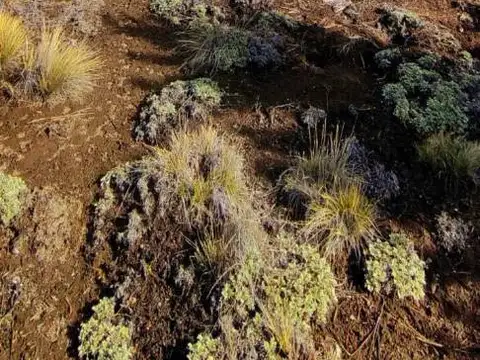 Terreno en Venta en Ruca Hue, USD 130.000