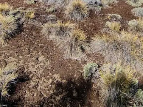 Terreno en Venta de 4100,0 m2