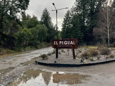 Terreno en Venta en Ruca Hue, USD 130.000