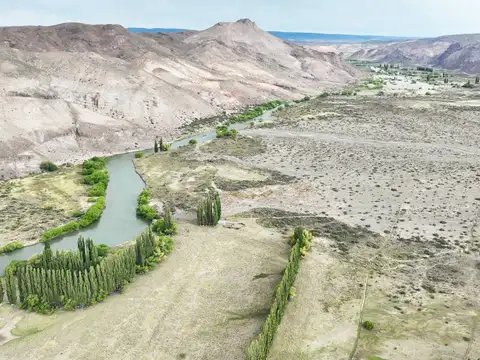 Campo de 16.500 has en Gorro Frigio