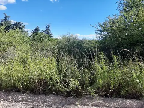 Se vende lote en Bialet Masse