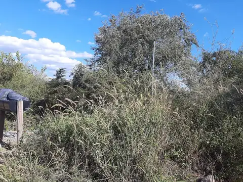 Terreno en Venta de 1633,0 m2