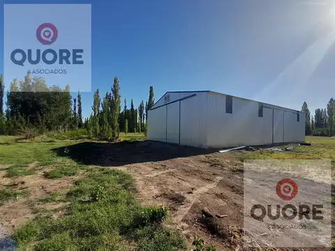 Galpones en alquiler sobre Ruta 151, Cipolletti.