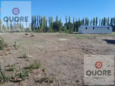 Ruta 151 al 100