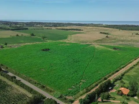 Campo en Venta de 177  ha