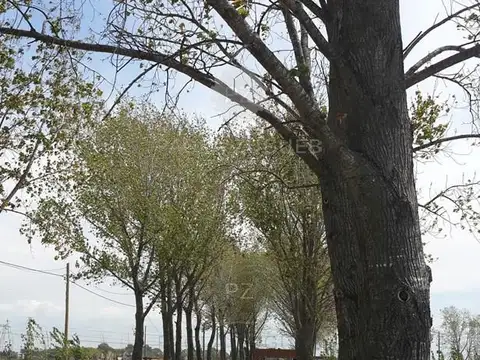 Terreno en Venta de 842,0 m2